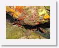 06-Bequia - 43